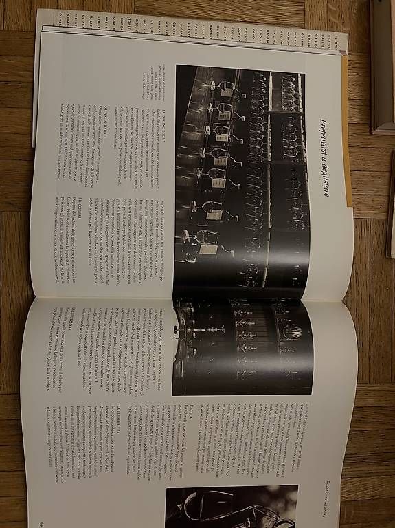 Dischi in vinile: Libro sul whisky di malto  – Usato da Lugano venduto da sab_yj5z 2