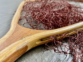 Grosser Holzkescher, für Meerforellen & Lachs