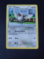 Pidove 78/108 Pokémon XY Roaring Skies 2015 (EN) ab 1.-