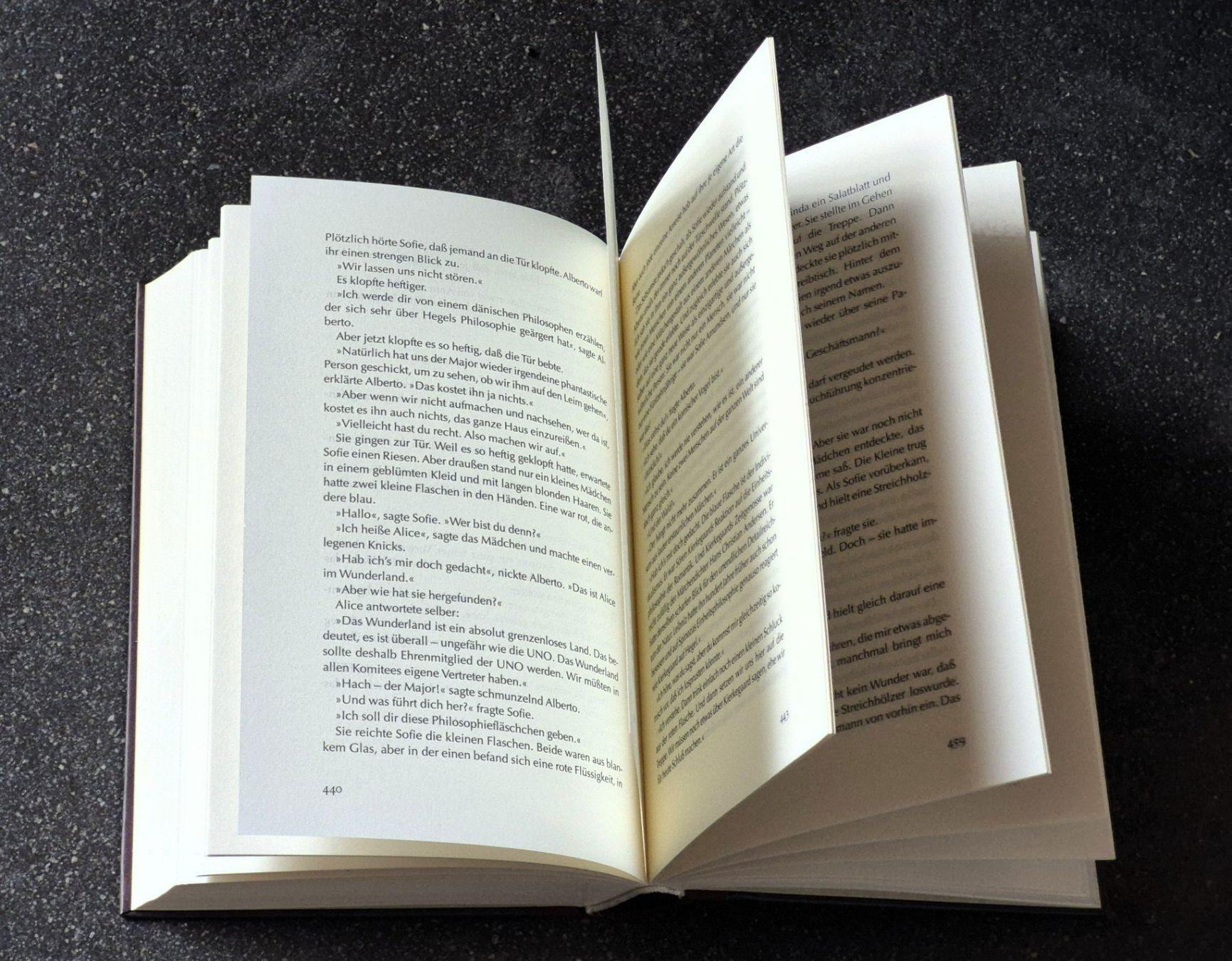 Libri: Buch "Sofies Welt" - Jostein Gaarder – Usato da St. Gallen venduto da Amelie_73 2