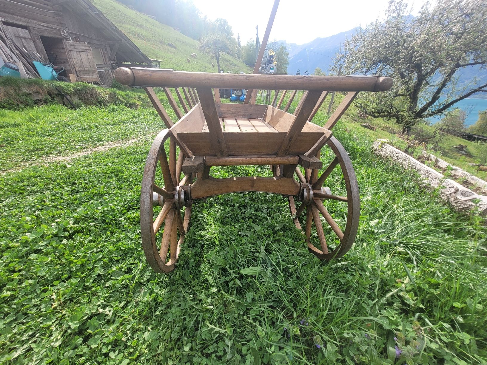 Carriole: Leiterwägeli mit Deichsel. Guter Zustand – Usato da Brienz BE venduto da Hundechef 3