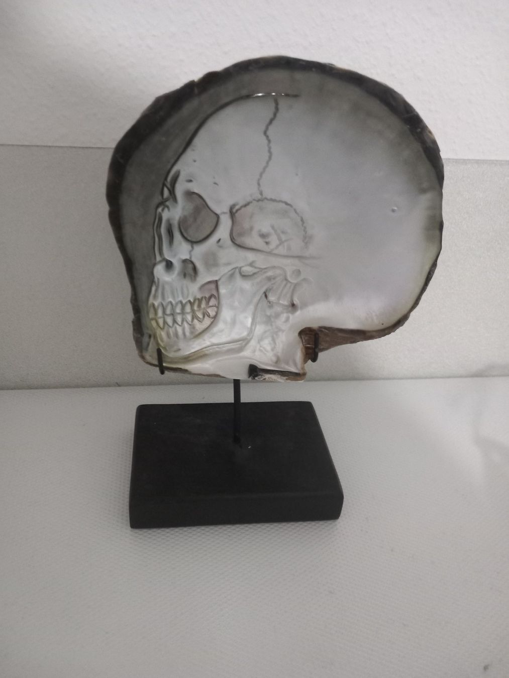 Fossili: Coquillage sculpté – Usato da Genève venduto da GenevaLuxury