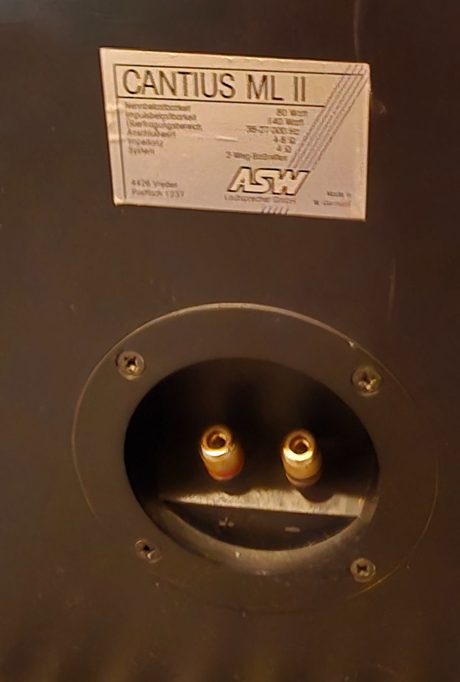 Casse acustiche: Lautsprecher ASW Cantius ML II – Usato da Herzogenbuchsee venduto da Numis25 6