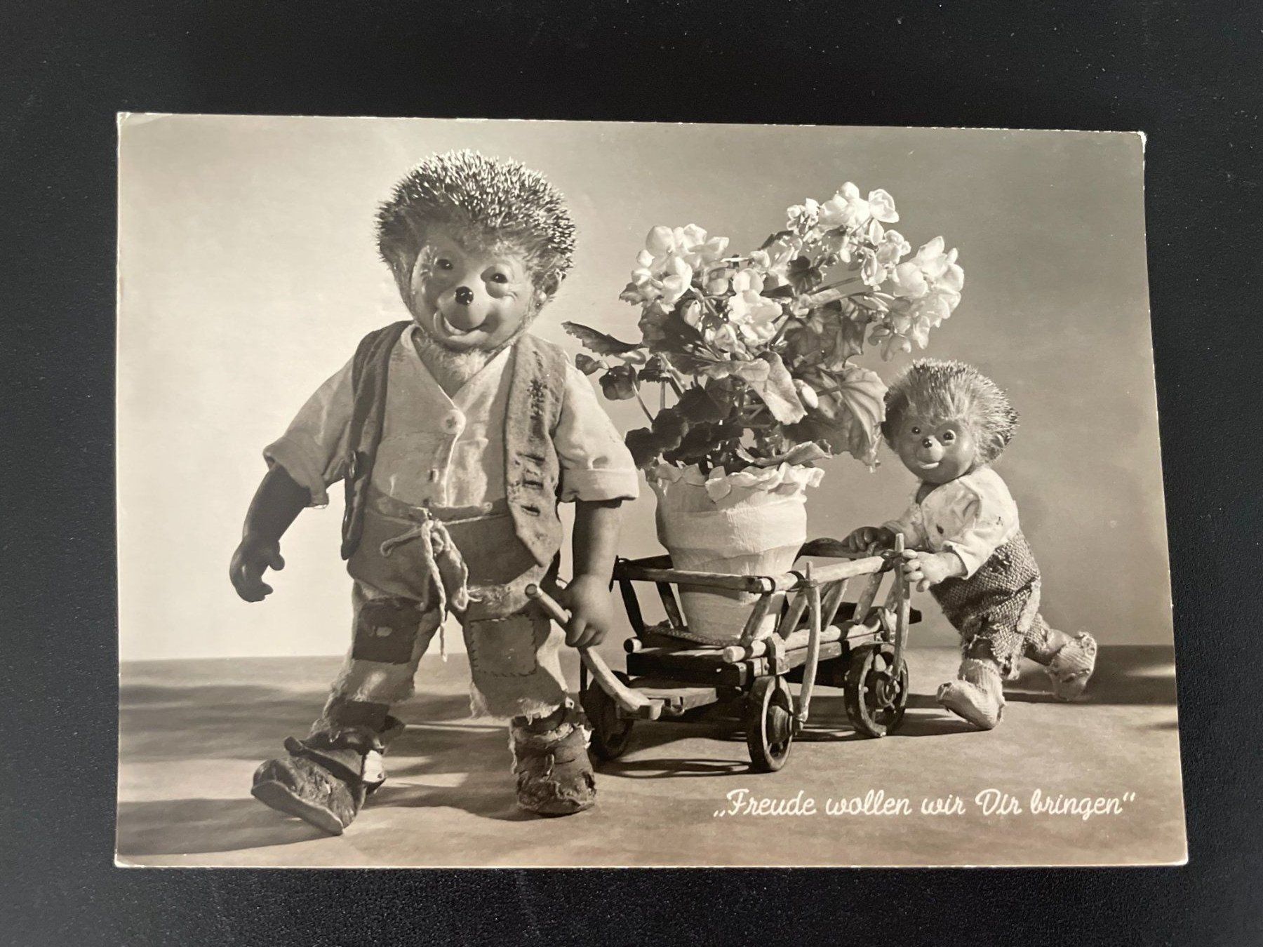 Cartoline postali: AK Mecki - Freude wollen wir Dir bringen - Nr. 24 – Usato da Thal venduto da Danny82