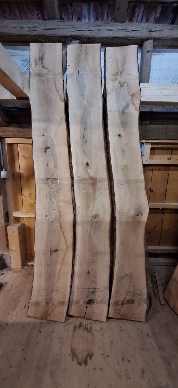 Articoli in legno: Nussbaumbrett 40mm – Nuovo (secondo la descrizione) da Waldkirch venduto da bauprofi87