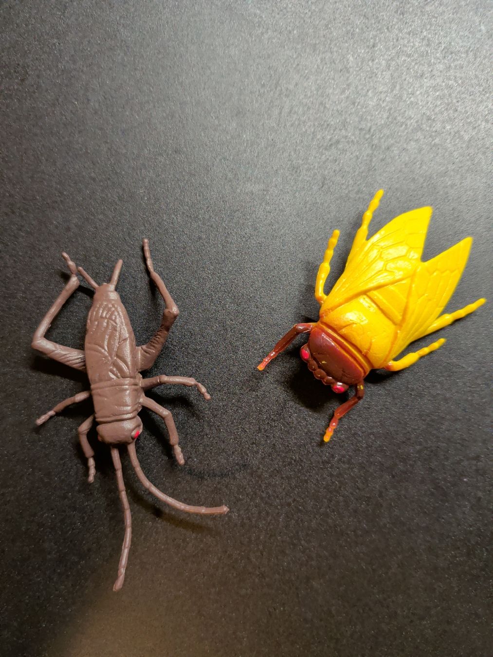 BOHS 16 Insekten-Spielfiguren – Realistische Käfermodelle Für MINT-Bildung, Partys & Deko – 5–7,5 Cm Lang – Weiches Material