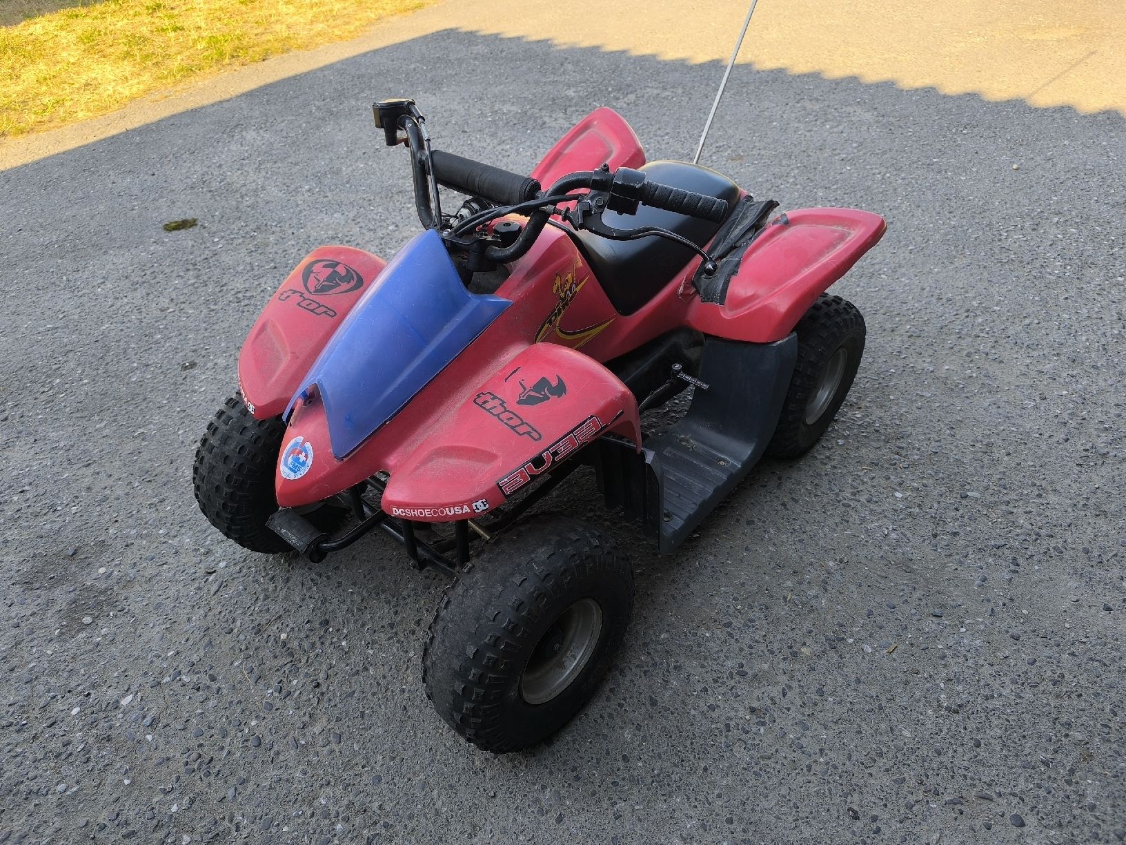 Mini Quad: Kinder Quad Dinli Dino defekt – Difettoso da Nebikon venduto da Bulloon 3