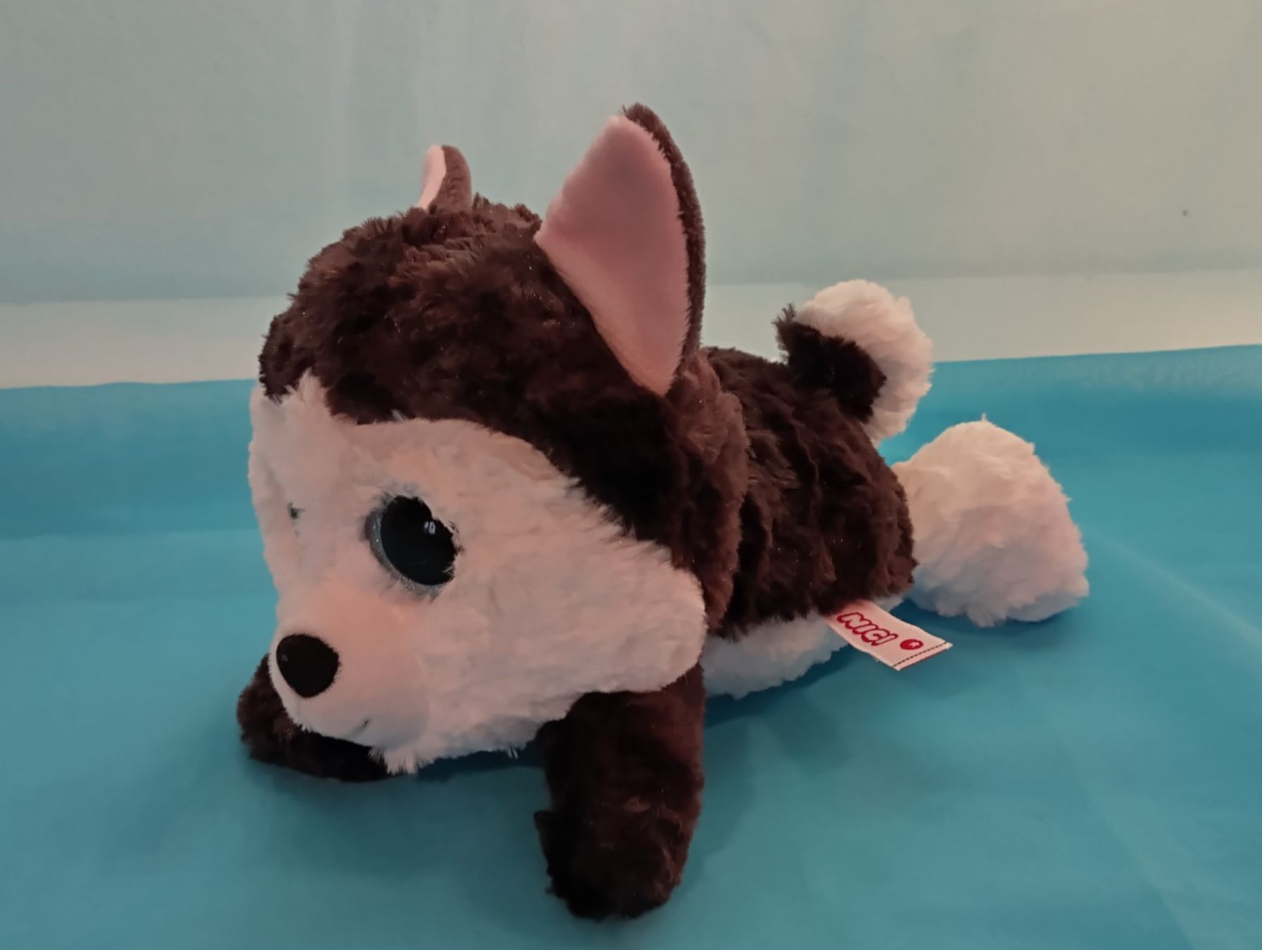 Nici Giocattoli: NICI Husky, Neu!, L: 20cm – Nuovo (secondo la descrizione) da Bellach venduto da JingleCherry 3