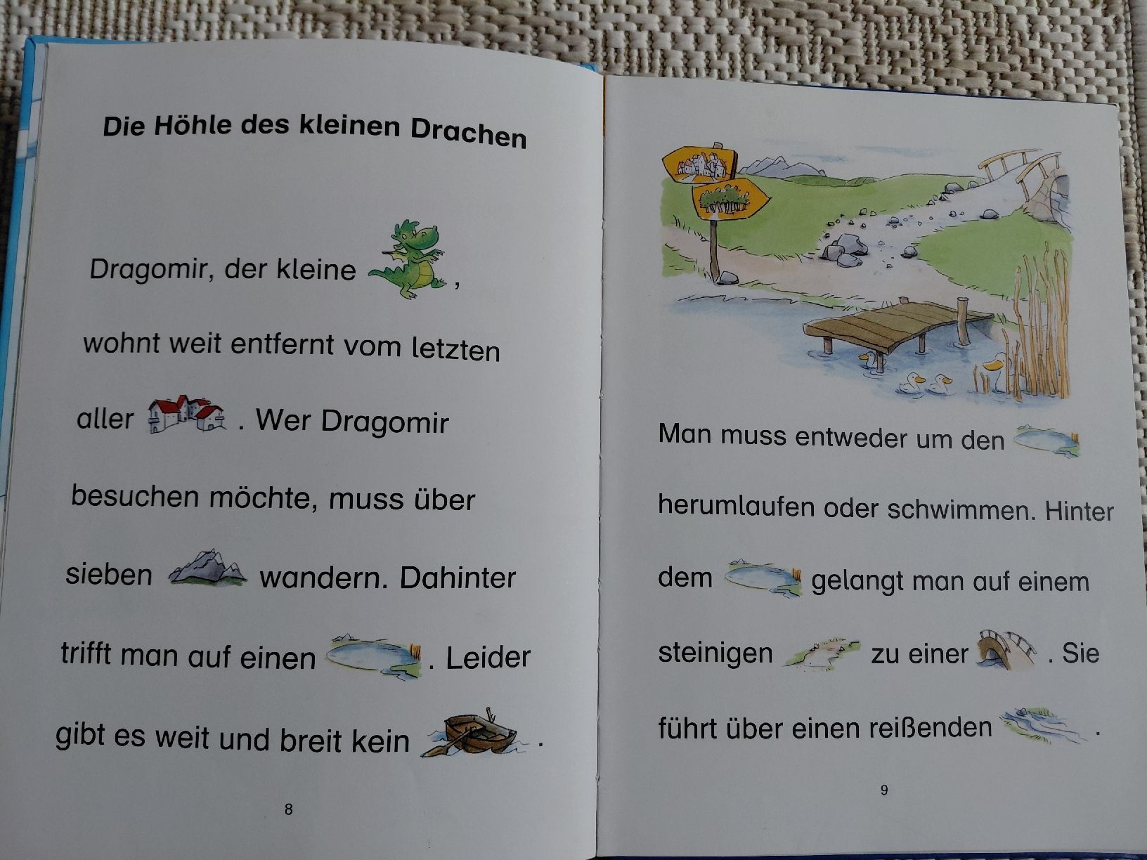 Libri: Erstlesebücher Leselöwen, Bildermaus, Leserabe, Hexe Lilli – Nuovo (secondo la descrizione) da Geuensee venduto da sonnenstunden 5