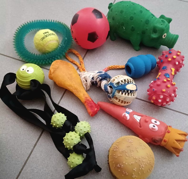 Ab 1. fr !!! 11 Spielsachen für Ihren Hund. Gebraucht, aber Kaufen