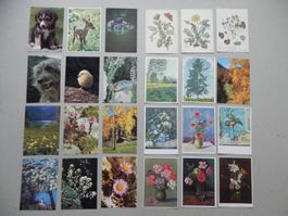24 Pro Infirmis Spenden Karten Sammlung Lot Schweiz Kunst CH