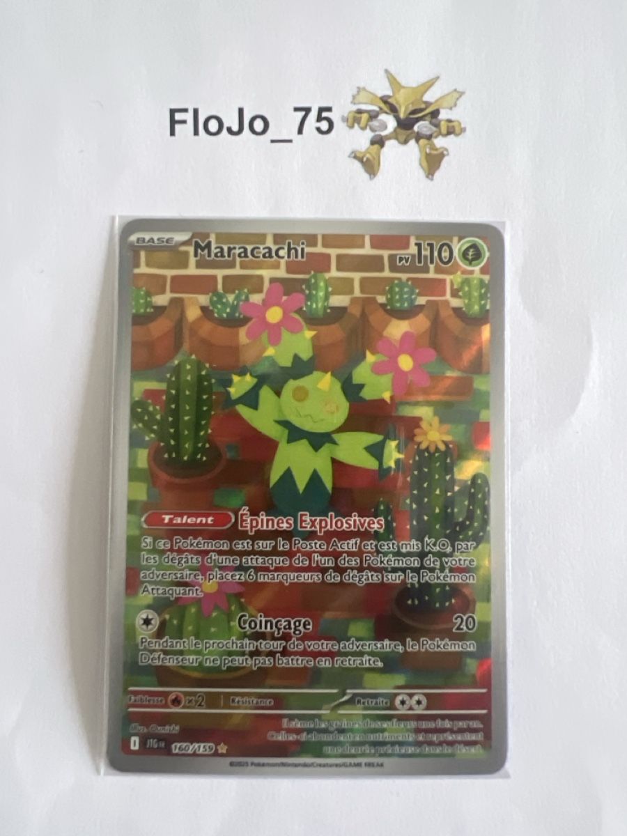 Pokémon Carte collezionabili: Maracachi 160/159 - FRA – Usato da St-Blaise venduto da FloJo_75