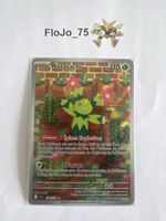 Maracachi 160/159 - FRA
