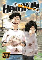 Manga Haikyuu Band 37 guter Zustand 