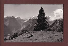 BRAUNWALD - Bifertenstock und Tödi - 1955