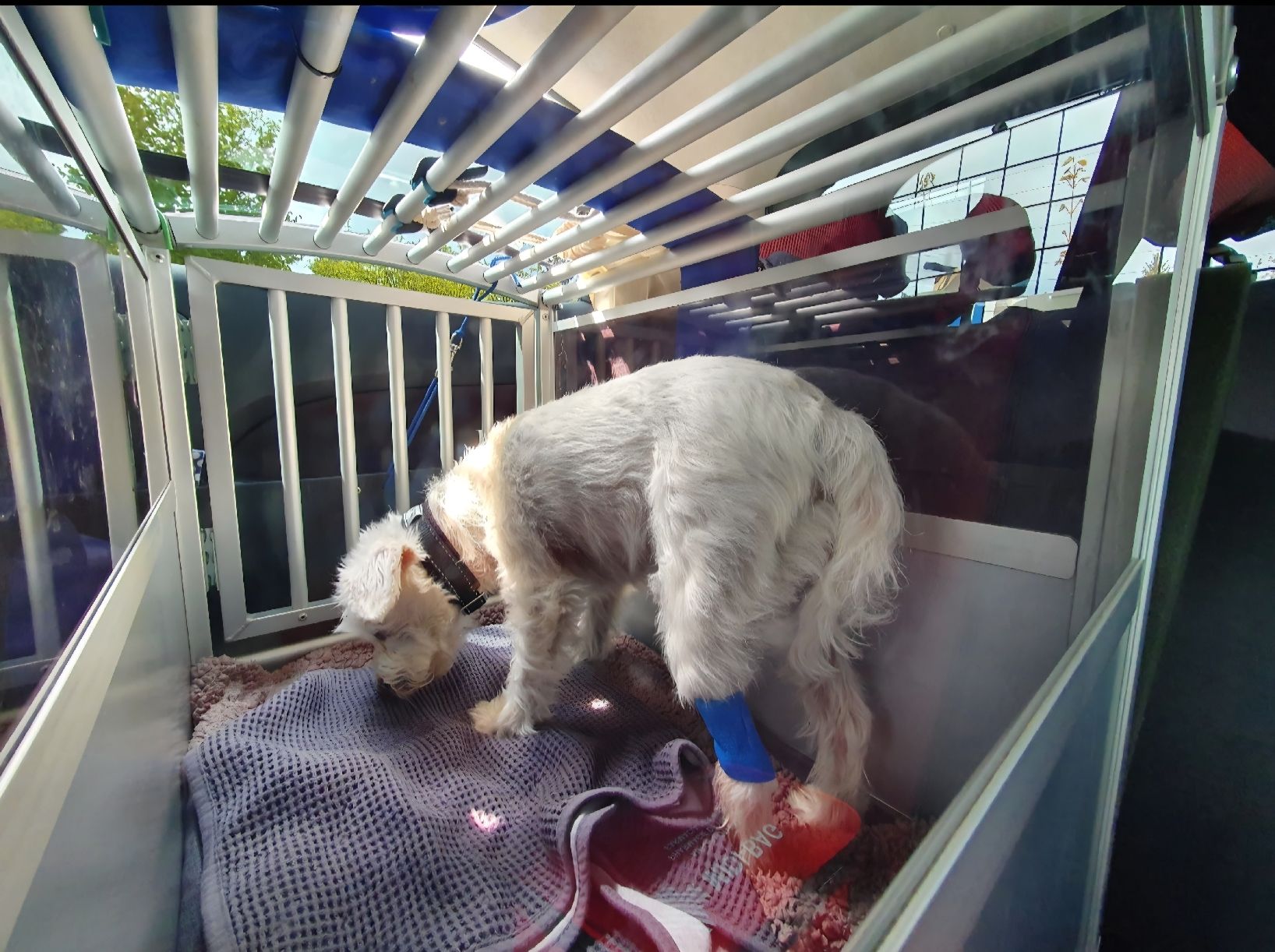 Meiko Cages, transport & sécurité: Schmidt Rücksitz Hundebox Grösse 2 – D'occasion à Binz par pia_ph77 2
