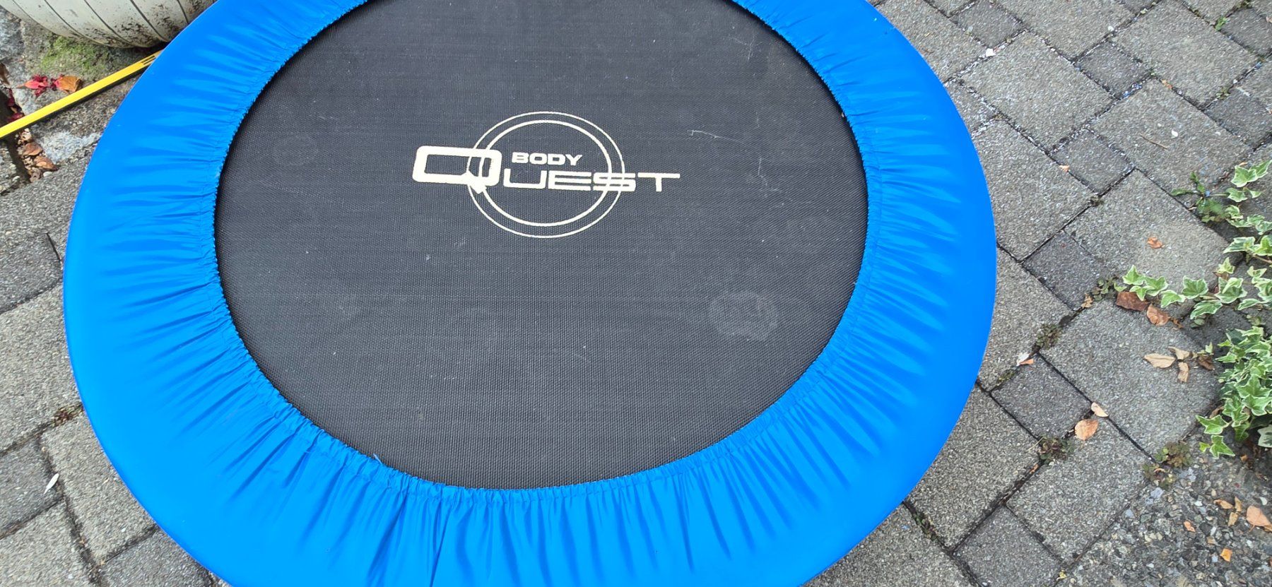 Trampolines: Body Quest Trampolin blau gebraucht – D'occasion à nürensdorf par dodore1 1
