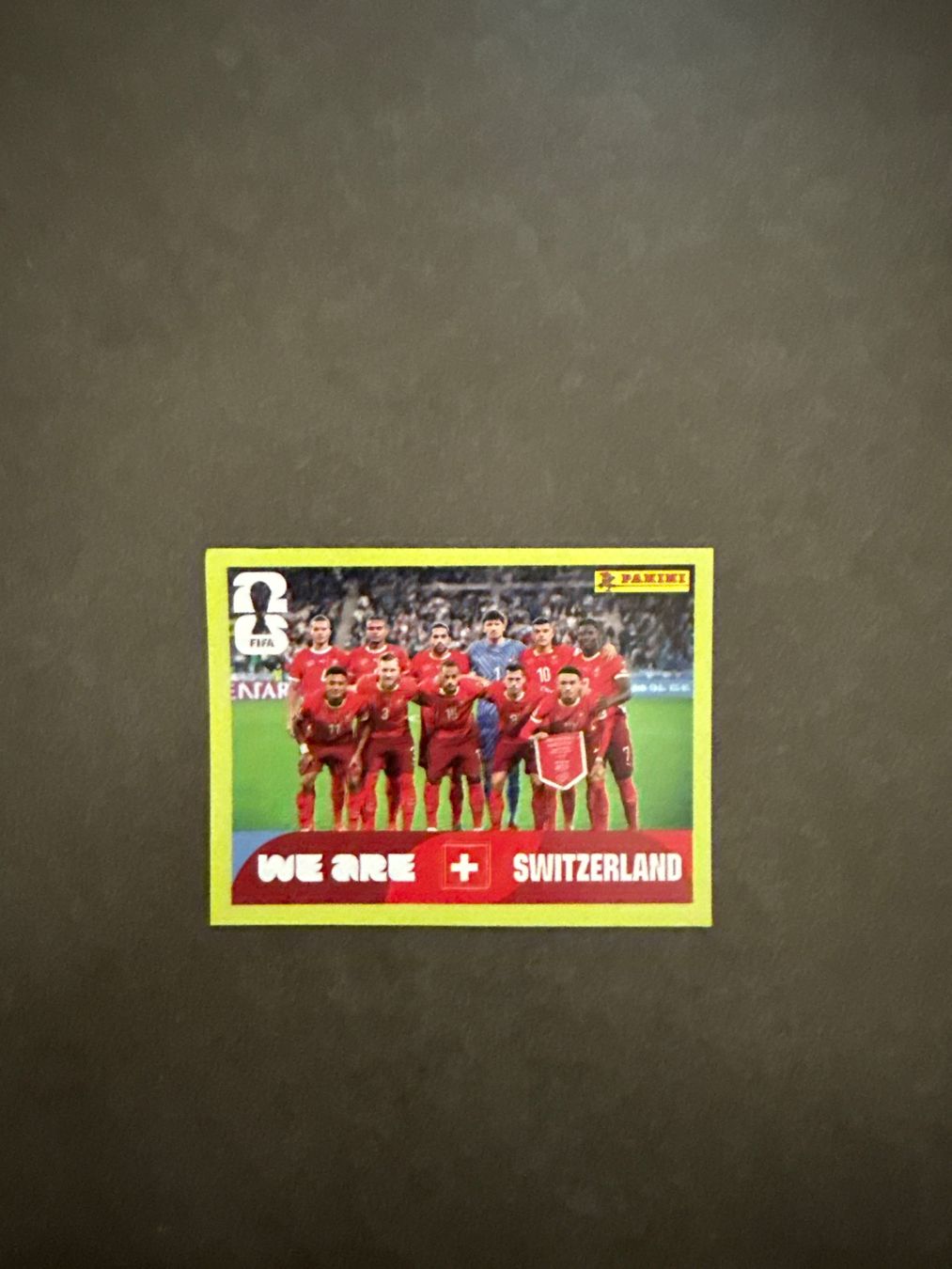 Panini Carte collezionabili: SUI 13 – Usato da Savigny venduto da Kinderboutique