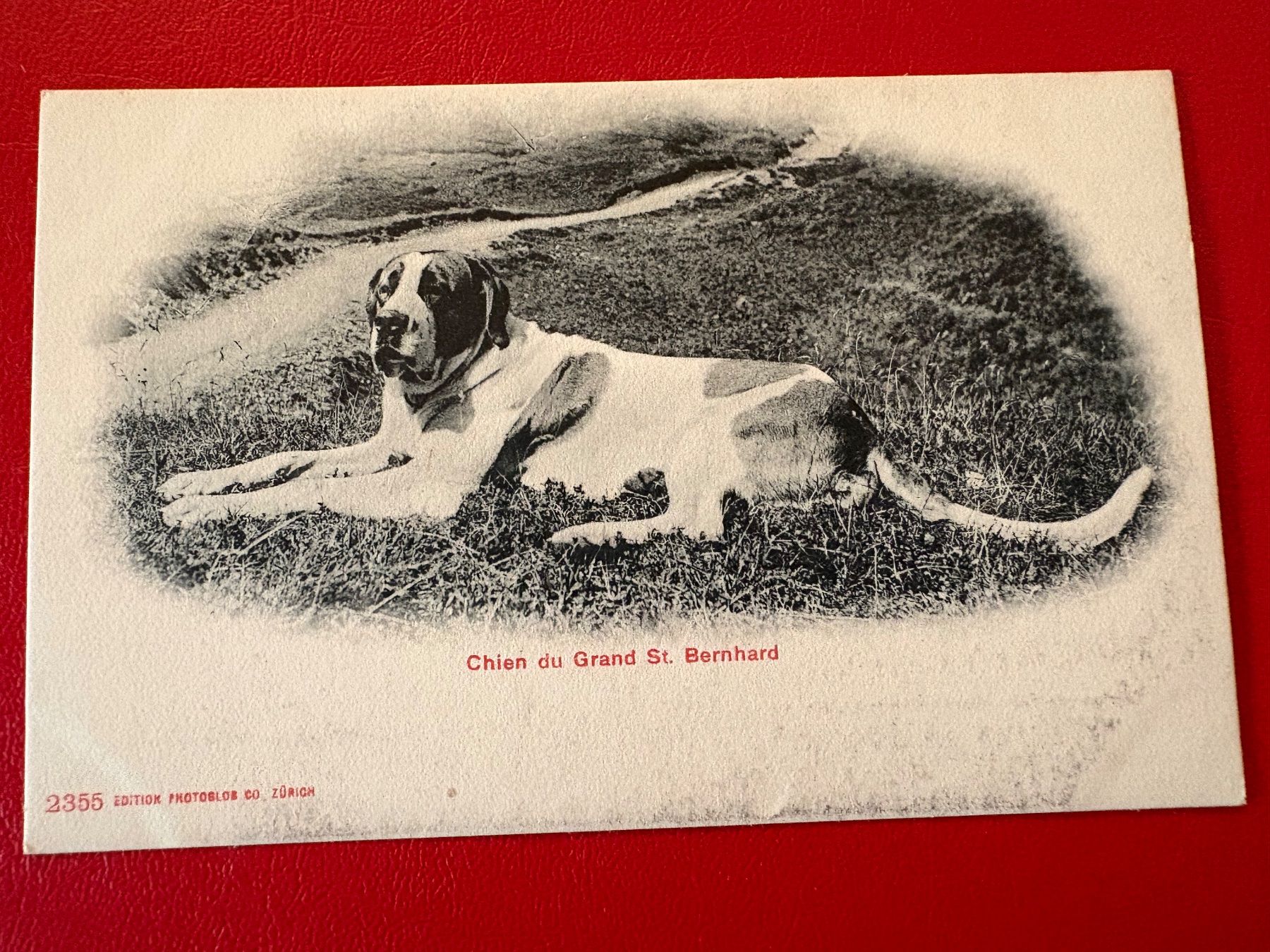 Cartoline postali: Chien du Grand St. Bernhard – Usato da St-Légier-La Chiésaz venduto da Theo005