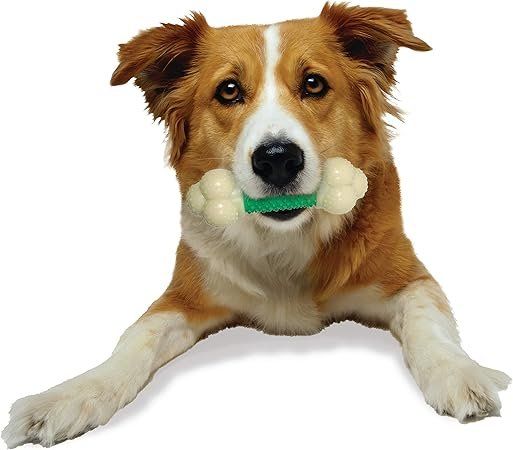 Giocattoli: Nylabone Double Action Dog Chew Wolf – Nuovo e nell'imballaggio originale da Oberentfelden venduto da Sch_md58 1