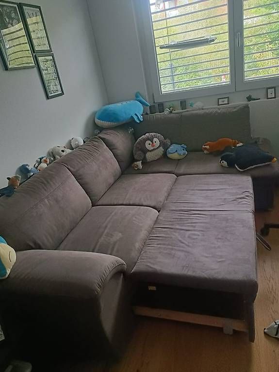 Divani: Schlafsofa mit Bettkasten und Schublade – Usato da Brittnau venduto da ValeriaDeR 1