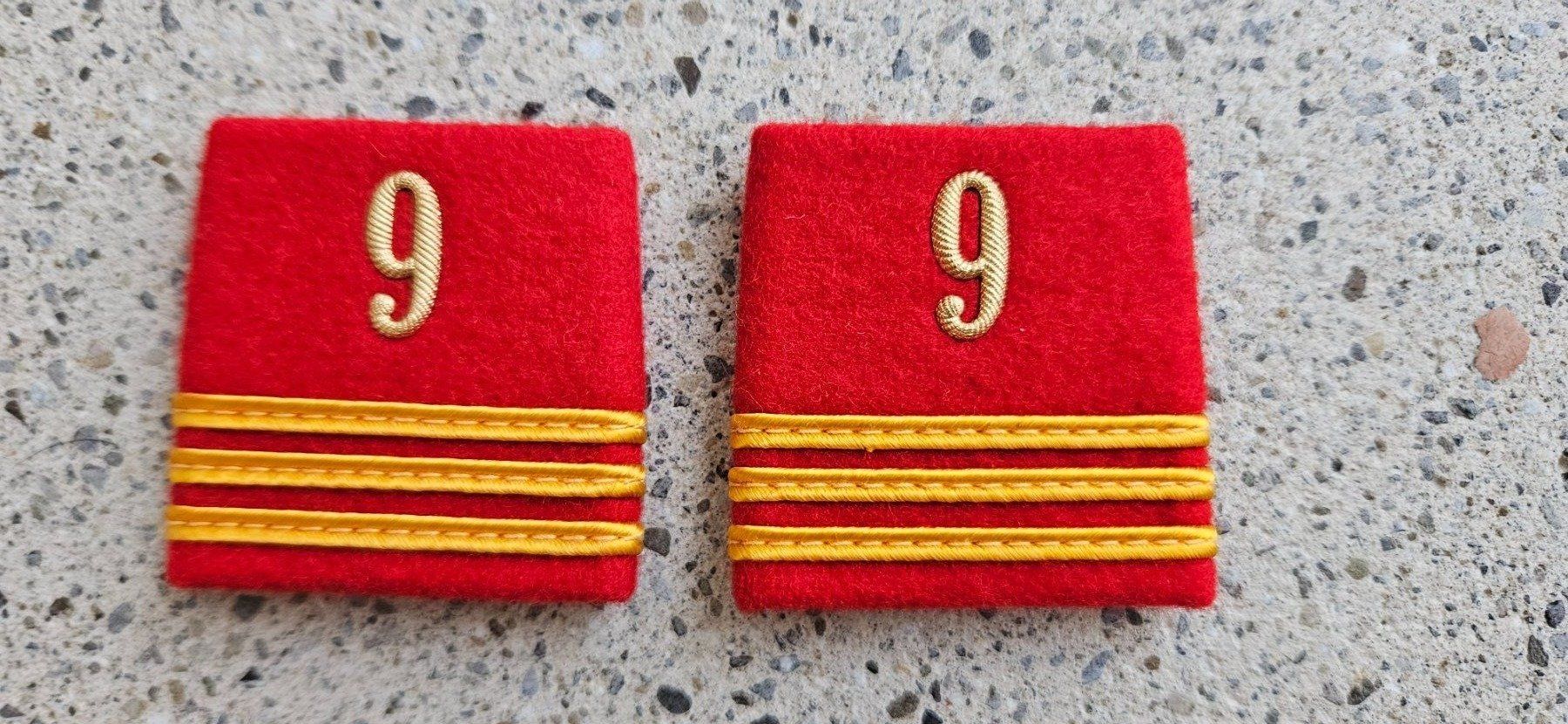 Schweizer Armee Placchette & Badge: *** Patten /Schulterschlaufen mit Nummer *** – Usato da Riedholz venduto da fr_sIruP