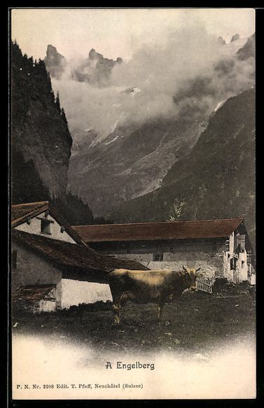 Cartes postales: AK Engelberg, Bergbauernhof, Kuh – D'occasion à Berlin par bartko-reher