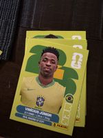 Panini BRA 14 & viele mehr