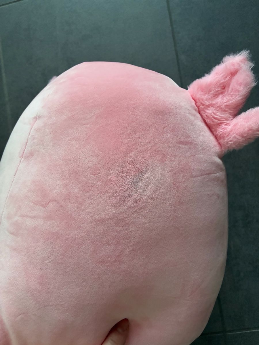 Squishmallows Spielzeuge: Squishmallow – Neu (gemäss Beschreibung) aus Wiler b.Utzenstorf von Verkauf333 1