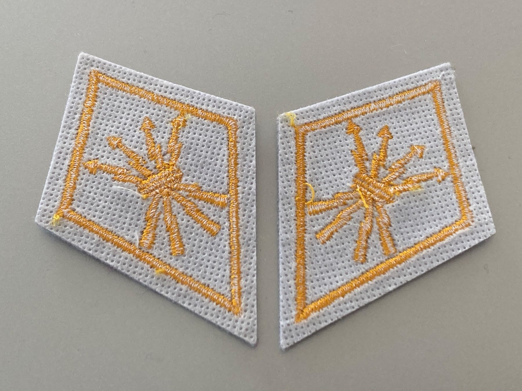 Schweizer Armee Placchette & Badge: 1 Paar Kragenpatten: Uebermittlung - Schweizer Armee – Usato da Brütten venduto da Hst1 1