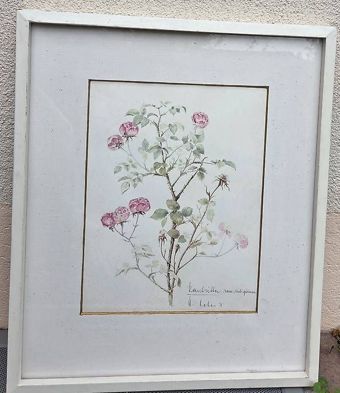 Posters & Illustrations: Originalbild Aquarell "Raubritter" – D'occasion à Buchs par Schenker55