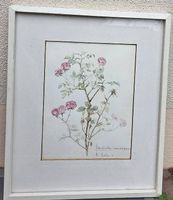 Originalbild Aquarell "Raubritter"