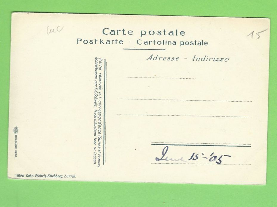 Cartoline postali: Vitznau Park Hotel – Usato da Zürich venduto da t24_de 1