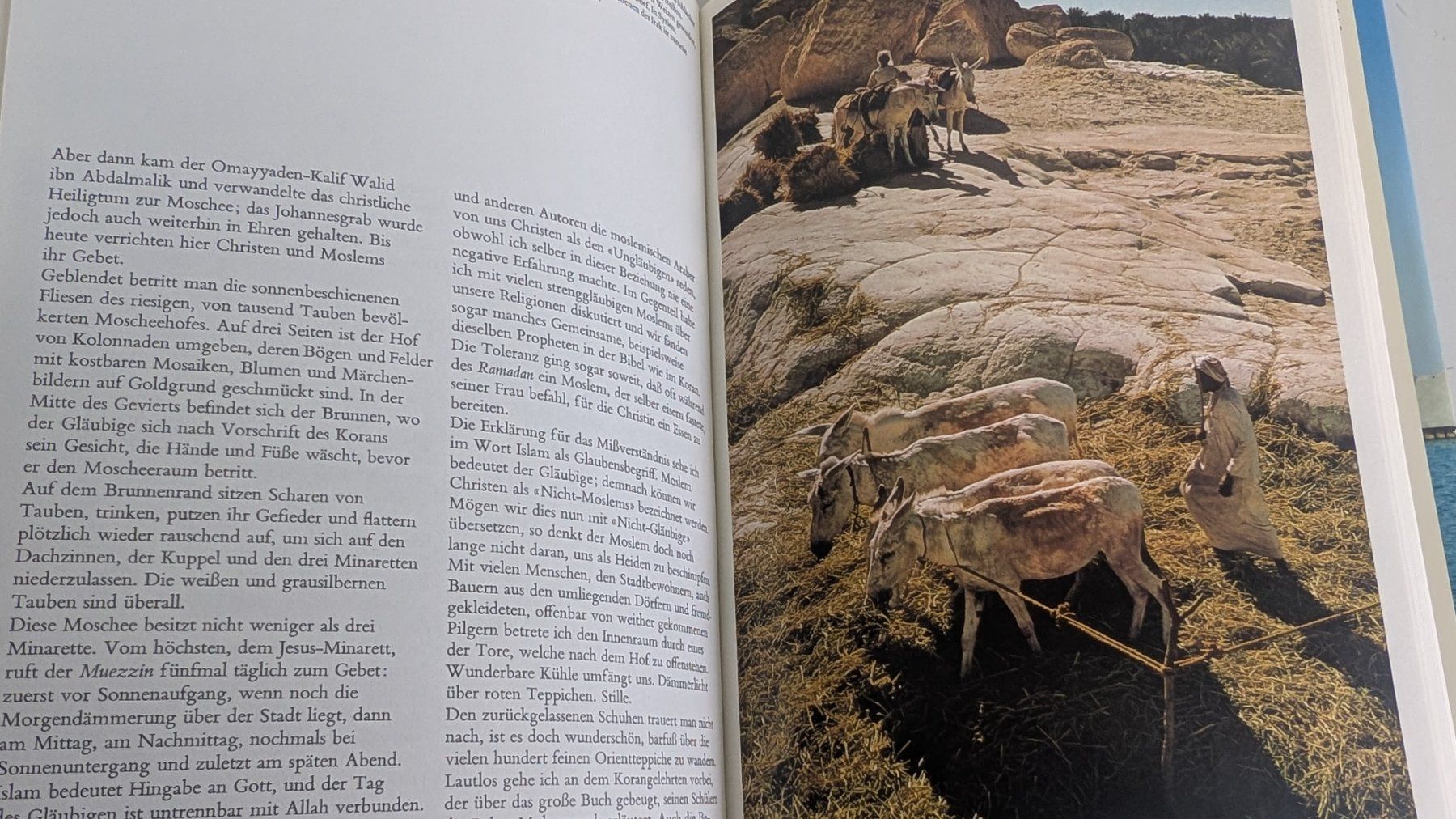 Libri: "Arabia" – Silva 1971 – Usato da Zürich venduto da axolottchen 8