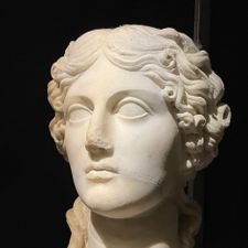 Profile image of Damicool