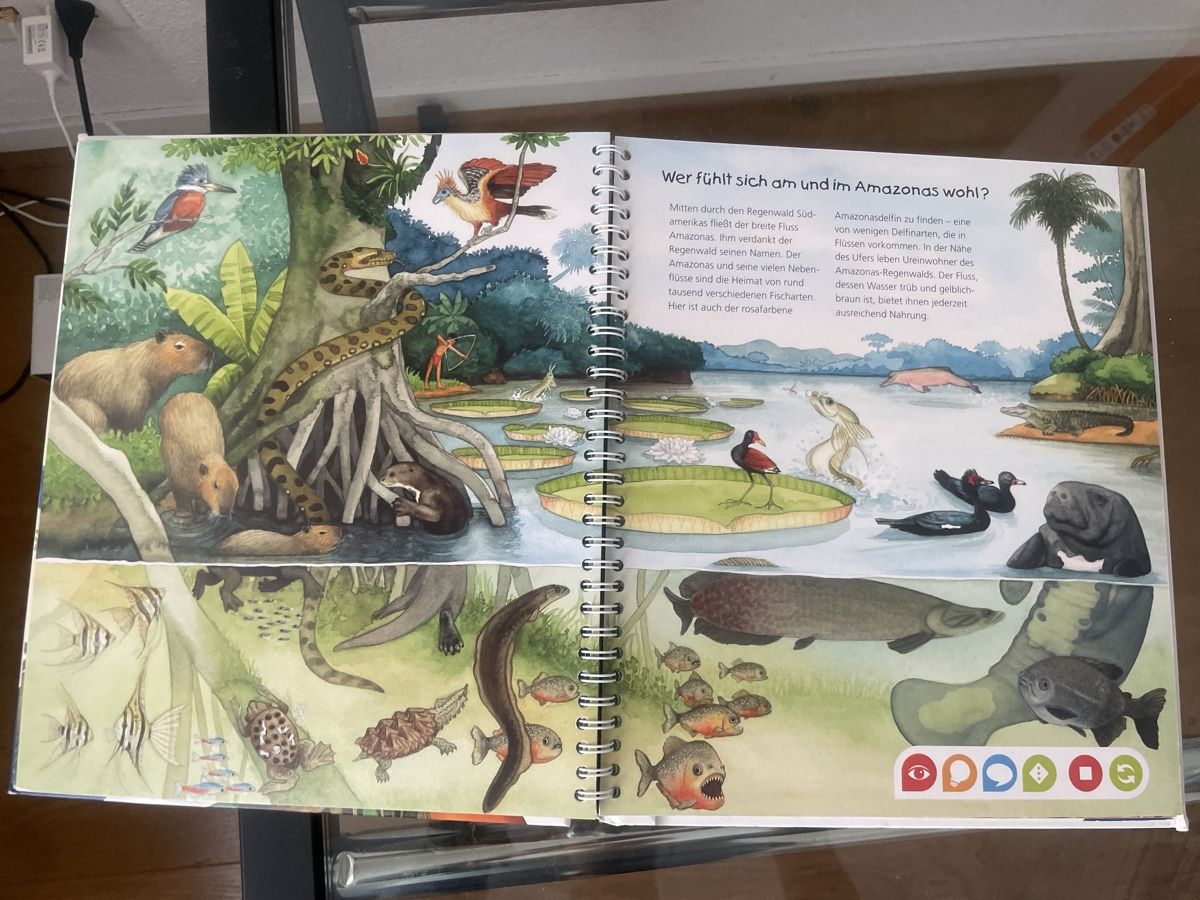 Libri: Tiptoi Buch: Entdecke den Regenwald - Lernsystem, Top! – Nuovo (secondo la descrizione) da Gerzensee venduto da Nach81 2