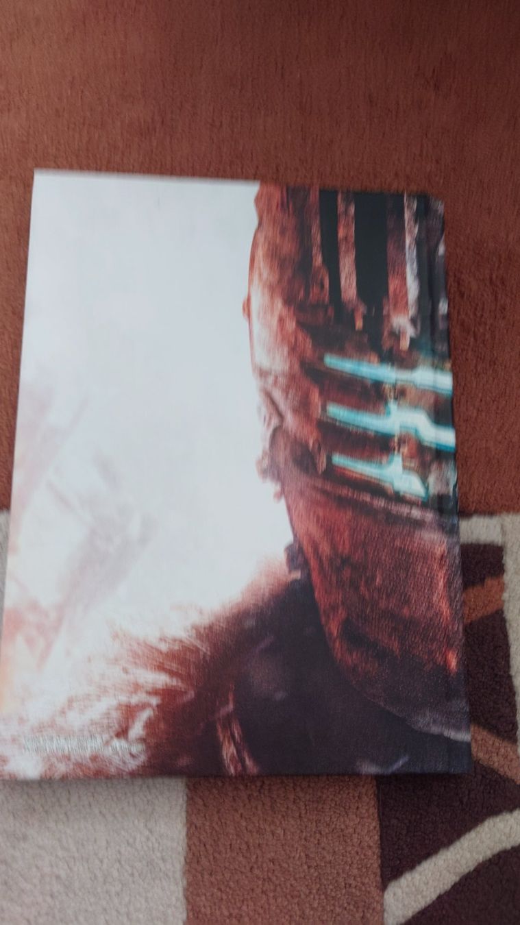 Libri: Dead Space 3 guide collector – Nuovo (secondo la descrizione) da Cugy VD venduto da Twinsen93 1