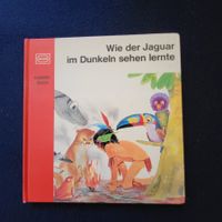 Wie der Jaguar im Dunkeln sehen lernte