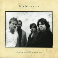 Mr. Mister: Something Real (Inside Me / Inside You) 7"