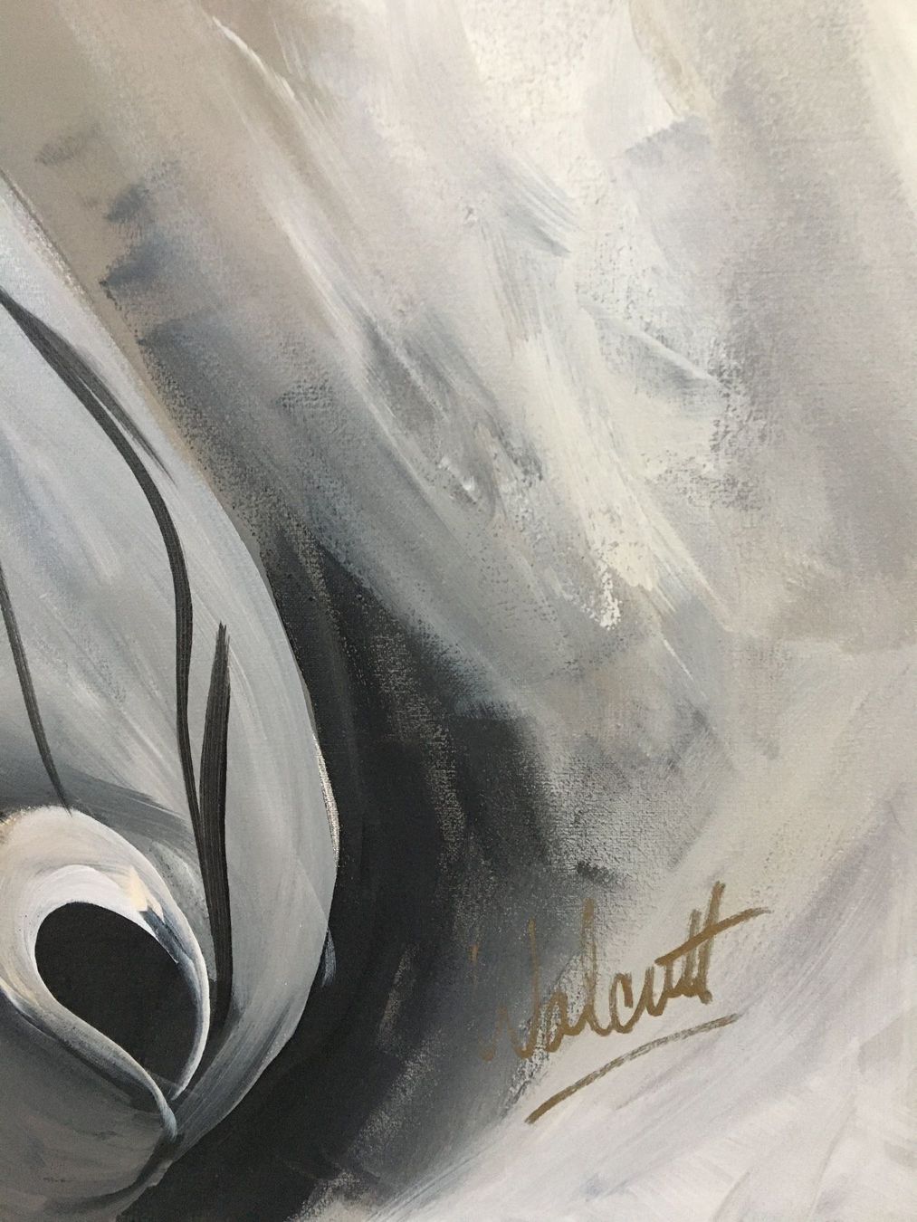 Foto & Immagini: Ölbild auf Leinwand Zebra – Nuovo (secondo la descrizione) da Chur venduto da Hortensia03 1