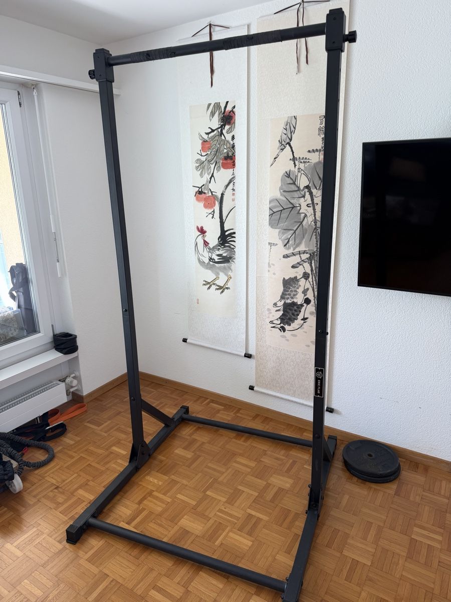 Vélos d'appartement: Eric Flag Pullup stand/ Gornation Dip bars – D'occasion à Au ZH par Flaw1985