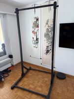Eric Flag Pullup stand/ Gornation Dip bars