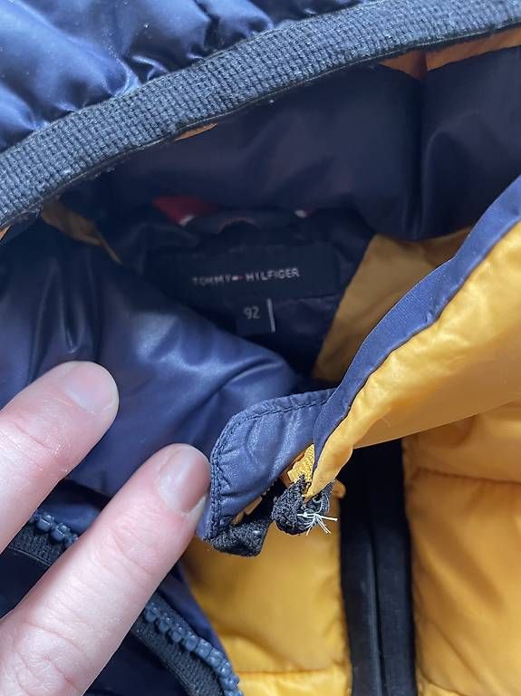 Tommy Hilfiger Giacche & Cappotti: Tommy Hilfiger Daunenjacke, Gr 92 – Usato da Münsingen venduto da einapez 1