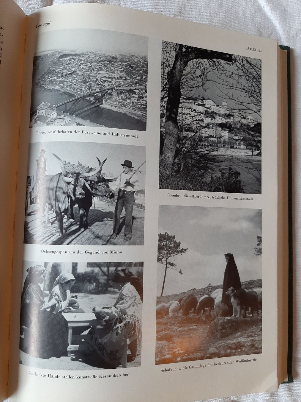 Libri: Europa Aeterna, Band I – Usato da Basel venduto da kouki51 6