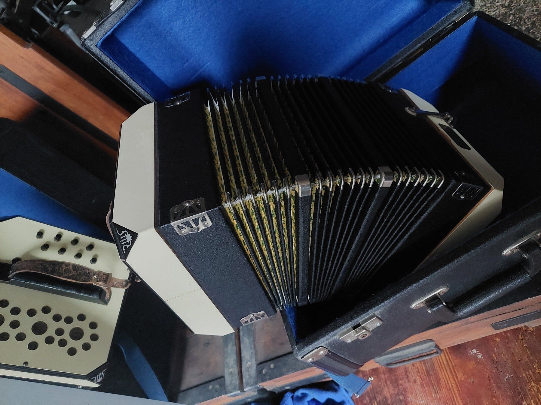 Strumenti musicali: BANDONIKA – Usato da Altnau venduto da wahet 3