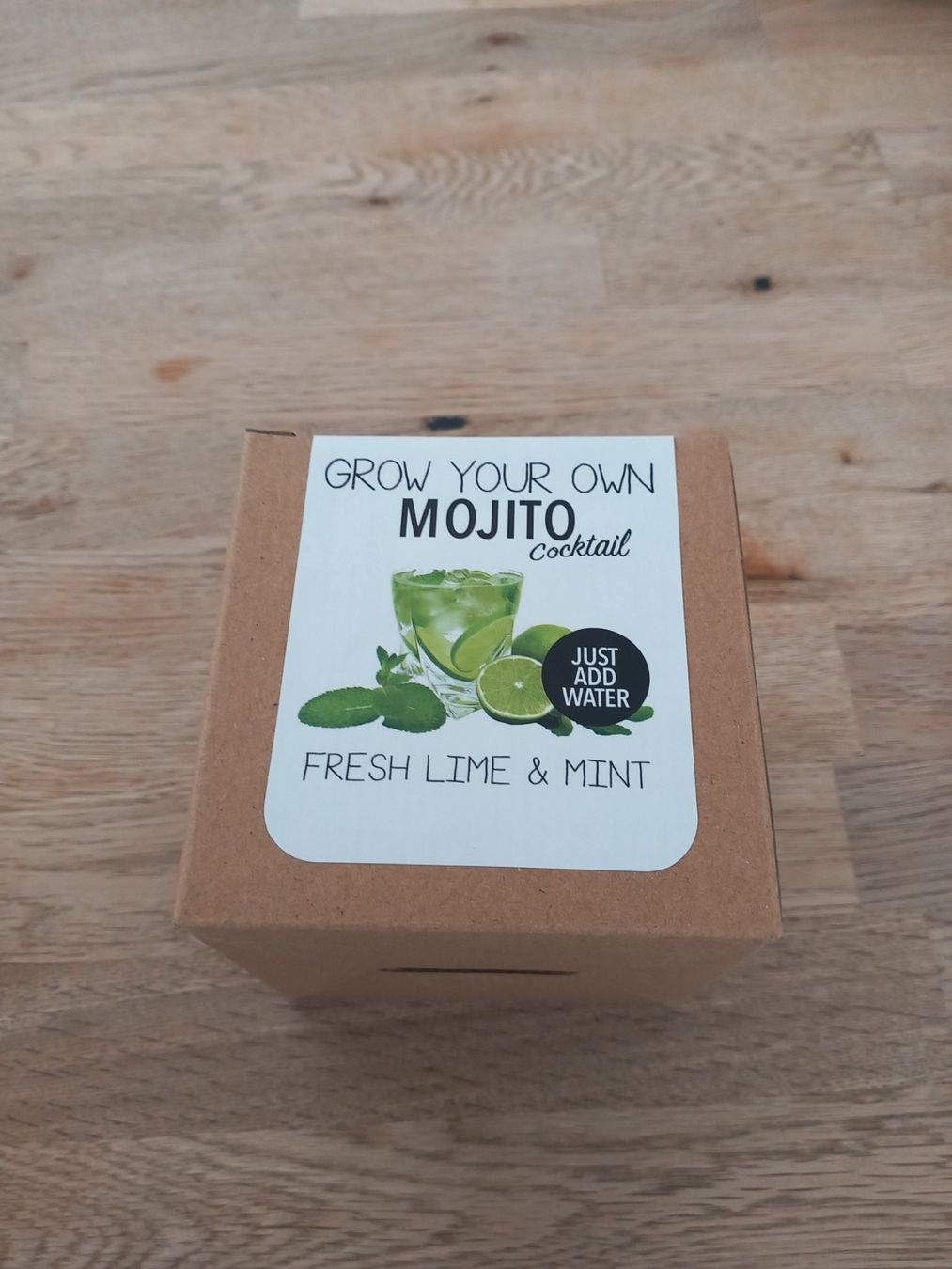 Piante & sementi: Pflanzen Samen Mojito  TOLLE GESCHENKIDEE – Nuovo e nell'imballaggio originale da Thun venduto da Beas-Allerlei