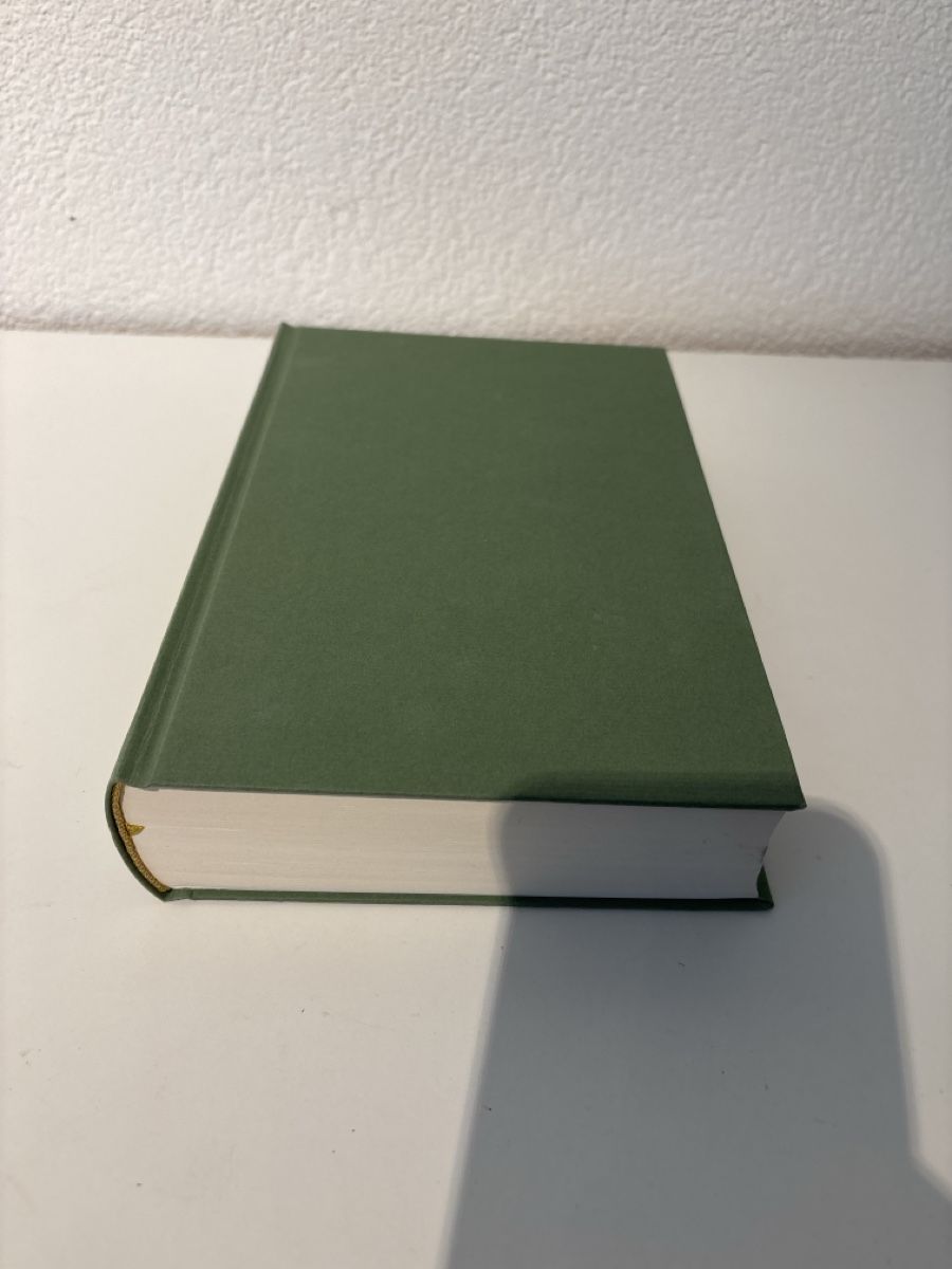 Bücher: Jilliane Hoffmann - Argus, gebraucht – Gebraucht aus Adliswil von ninotschka7 1