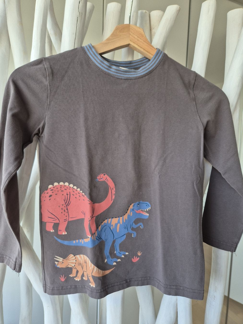 Pullover & Sweatshirts: Langarmshirt-Set Gr. 128, Dinos Bagger, Top Quali – Gebraucht aus Zollikerberg von ExcellenceInProducts 4