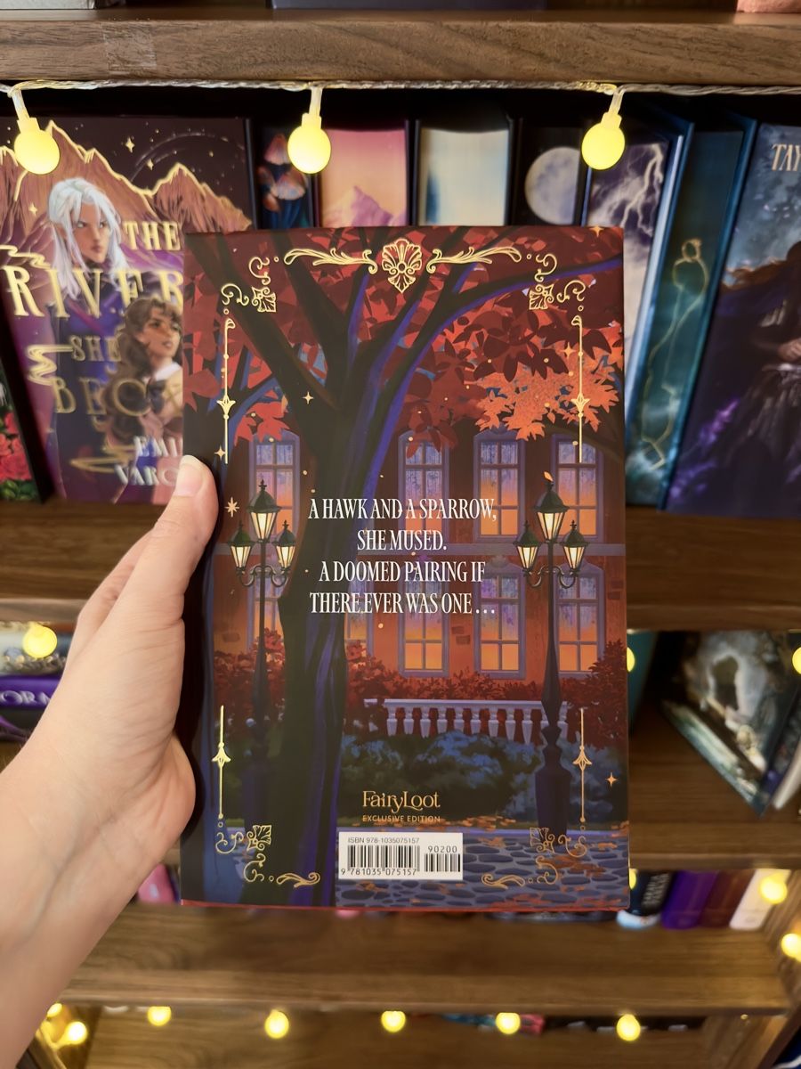 Bücher: FairyLoot Buch - Hawk & Sparrow – Neu (gemäss Beschreibung) aus Bern von moonlab 2