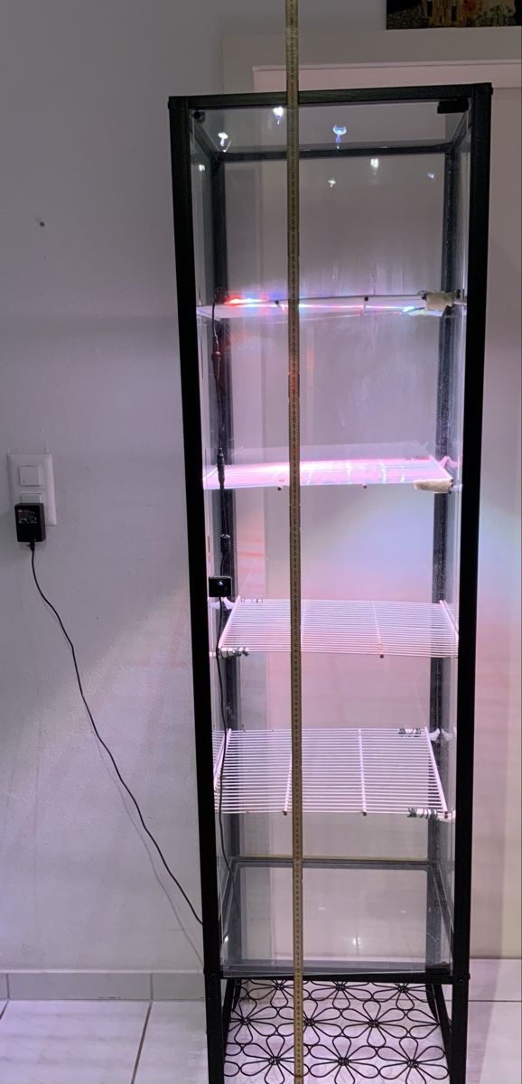 Vitrinen: Pflanzen Vitrine mit Beleuchtung – Gebraucht aus Zollikerberg von Jvac 2